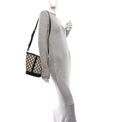 Celine Canvas Calfskin Triomphe Embroidered Small Bucket Bag 2 of 10
