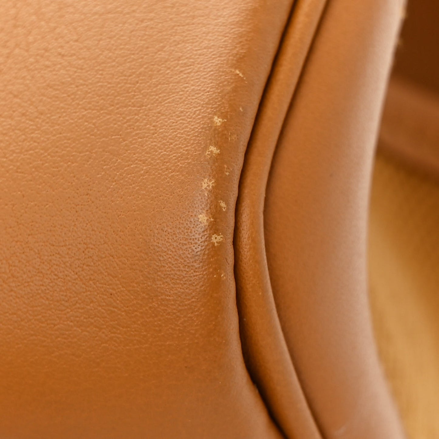 Toile Goeland Swift Cargo Birkin 25 Gold