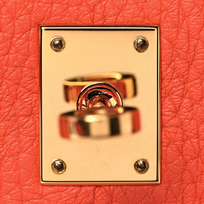 Hermes Taurillon Clemence Birkin 25 Feu 25 of 34