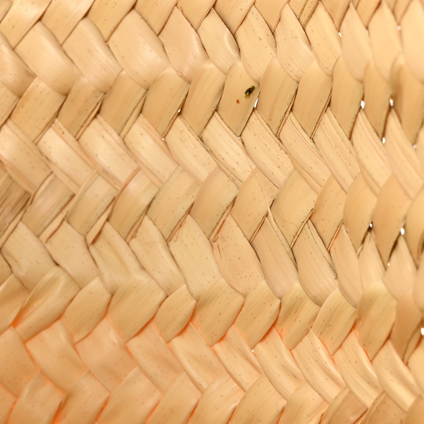 Raffia Basket Tote Bag Natural Tan