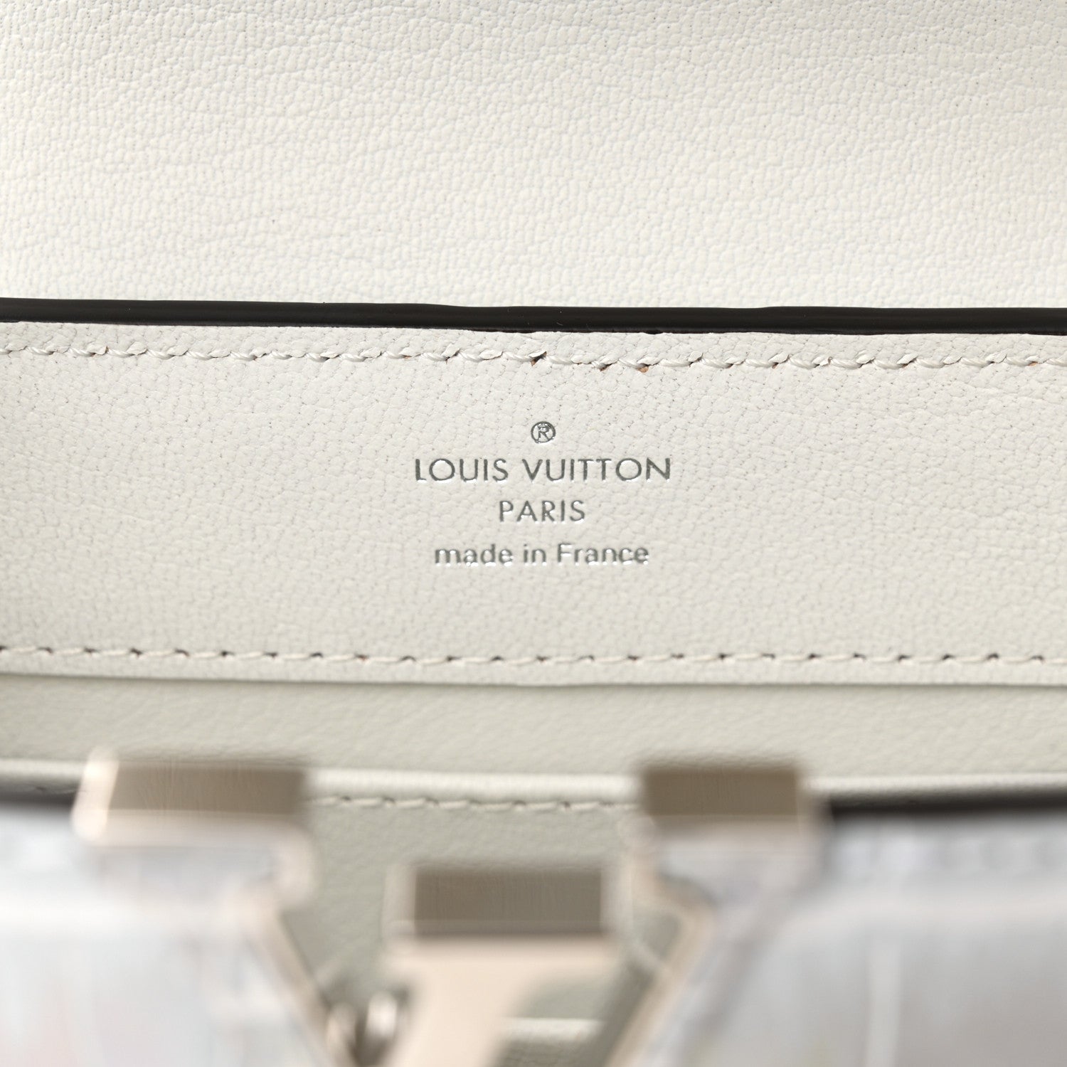 Louis Vuitton Alligator Mini Capucines Silver 6 of 10