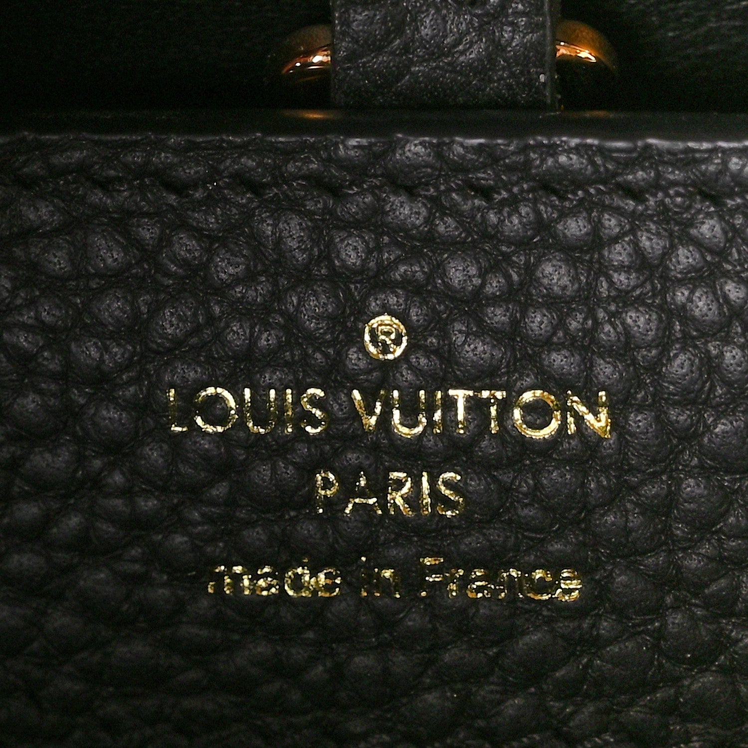Louis Vuitton Taurillon Embellished Flower Crown Capucines MM Black 6 of 8