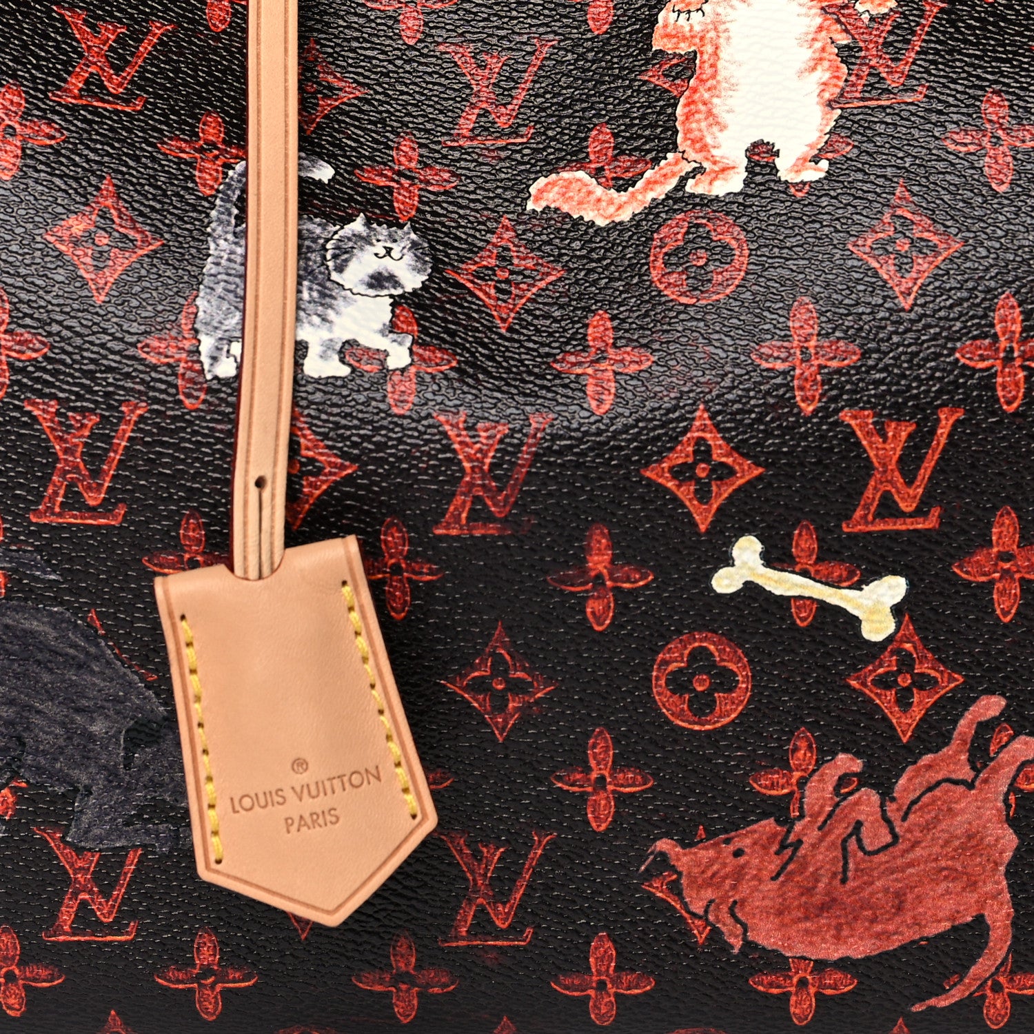 Louis Vuitton Catogram Speedy Bandouliere 30 Marron 12 of 16