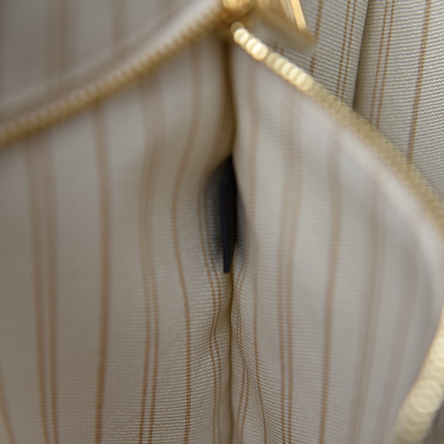 Monogram Giant Jungle Onthego GM Ivory