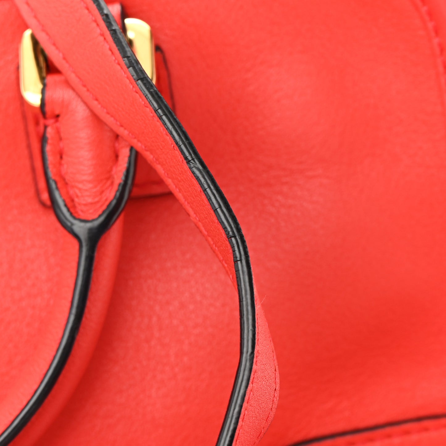 Nappa Calfskin Amazona 23 Red