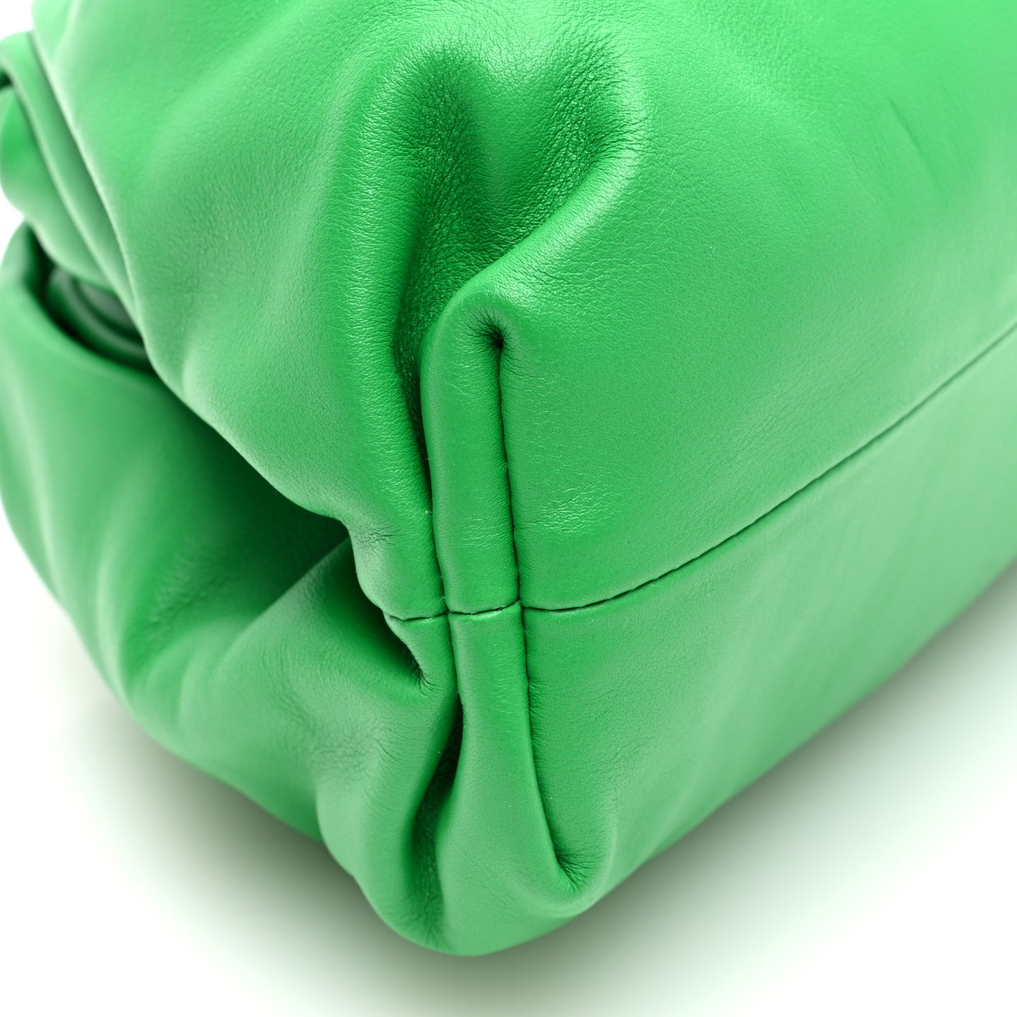 Calfskin Teen Pouch Clutch Parakeet