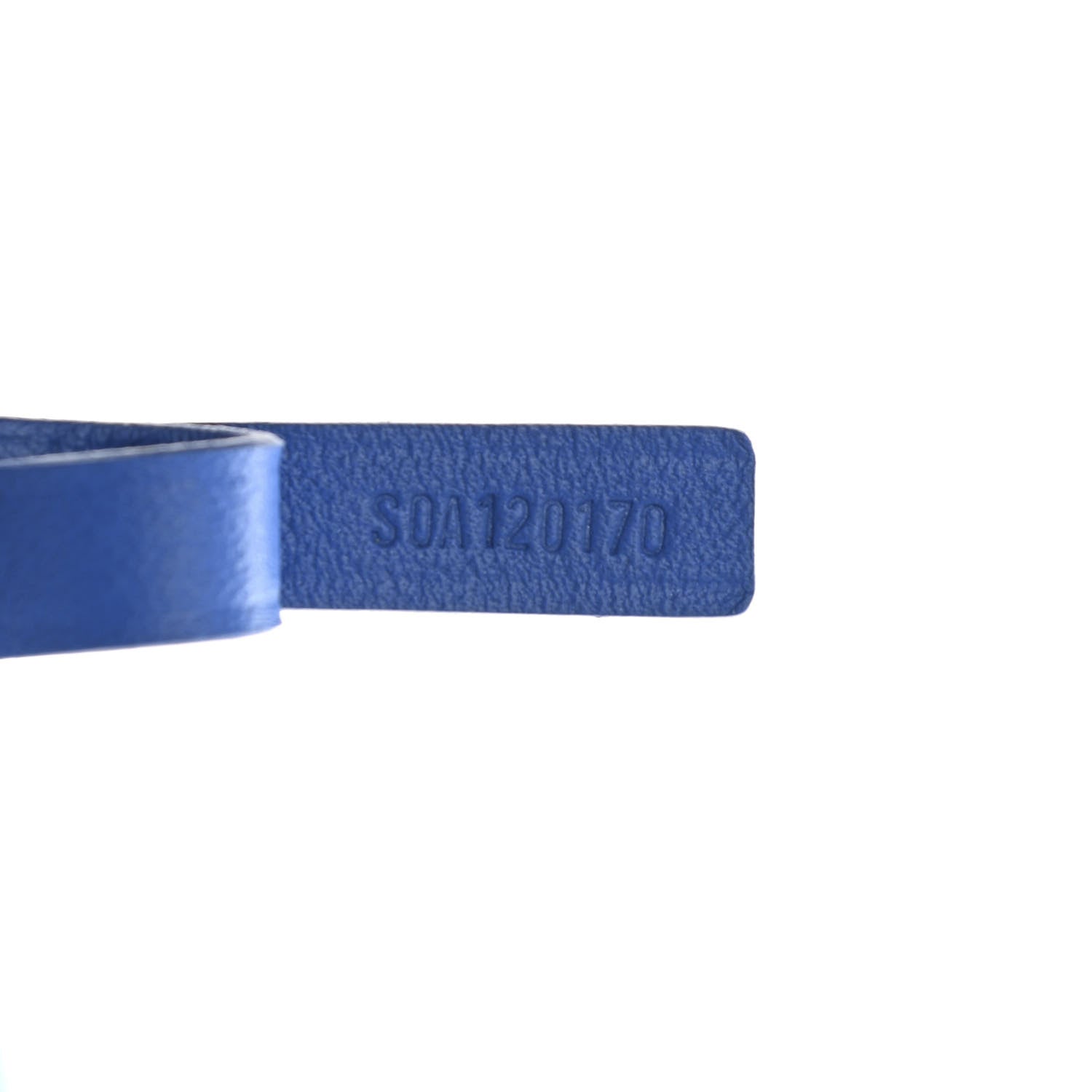 Goyard Goyardine Saint Louis PM Sky Blue 8 of 11