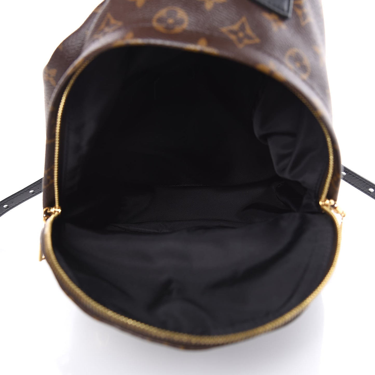 Monogram Palm Springs Backpack PM