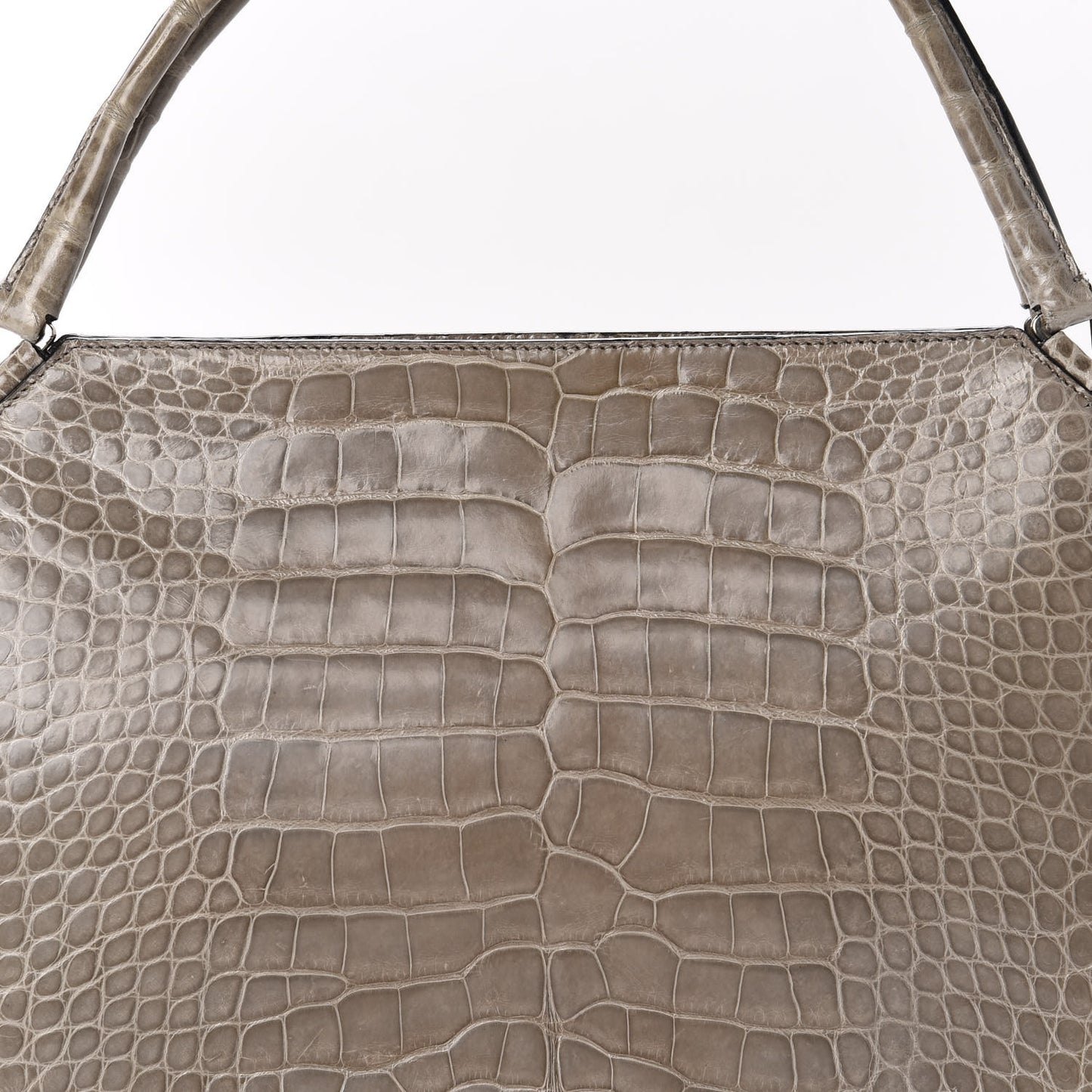 Crocodile Frame Bag