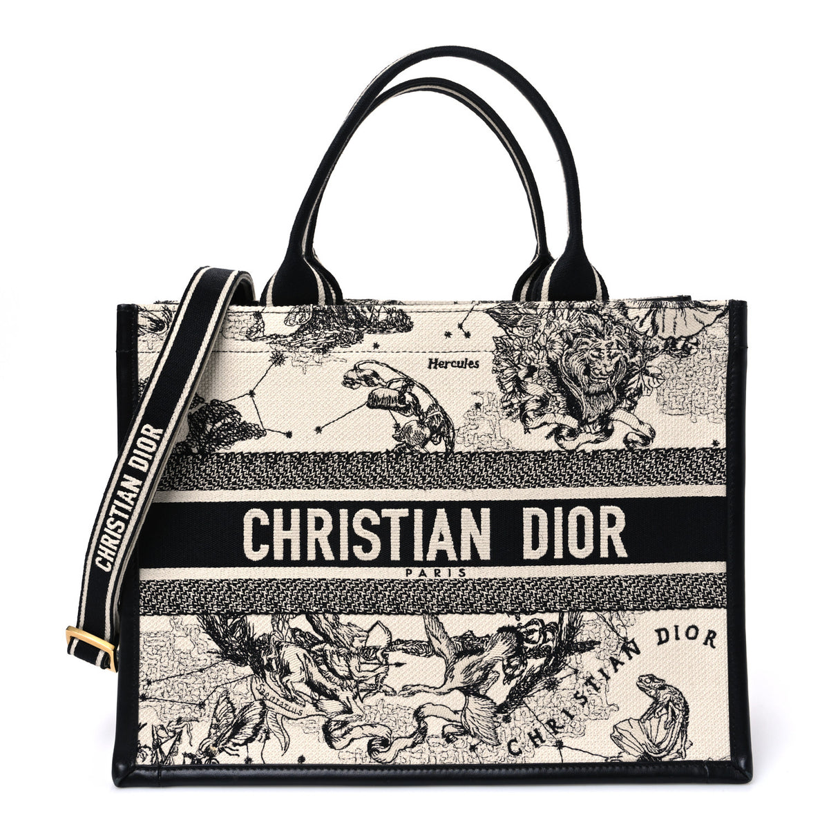 Christian Dior Calfskin Zodiac Toile De Jouy Medium Book Tote With Strap Latte 1 of 10