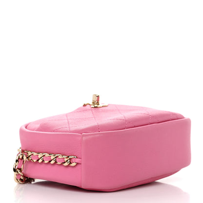Chanel Goatskin Small Casual Trip Camera Case Pink 4 of 11