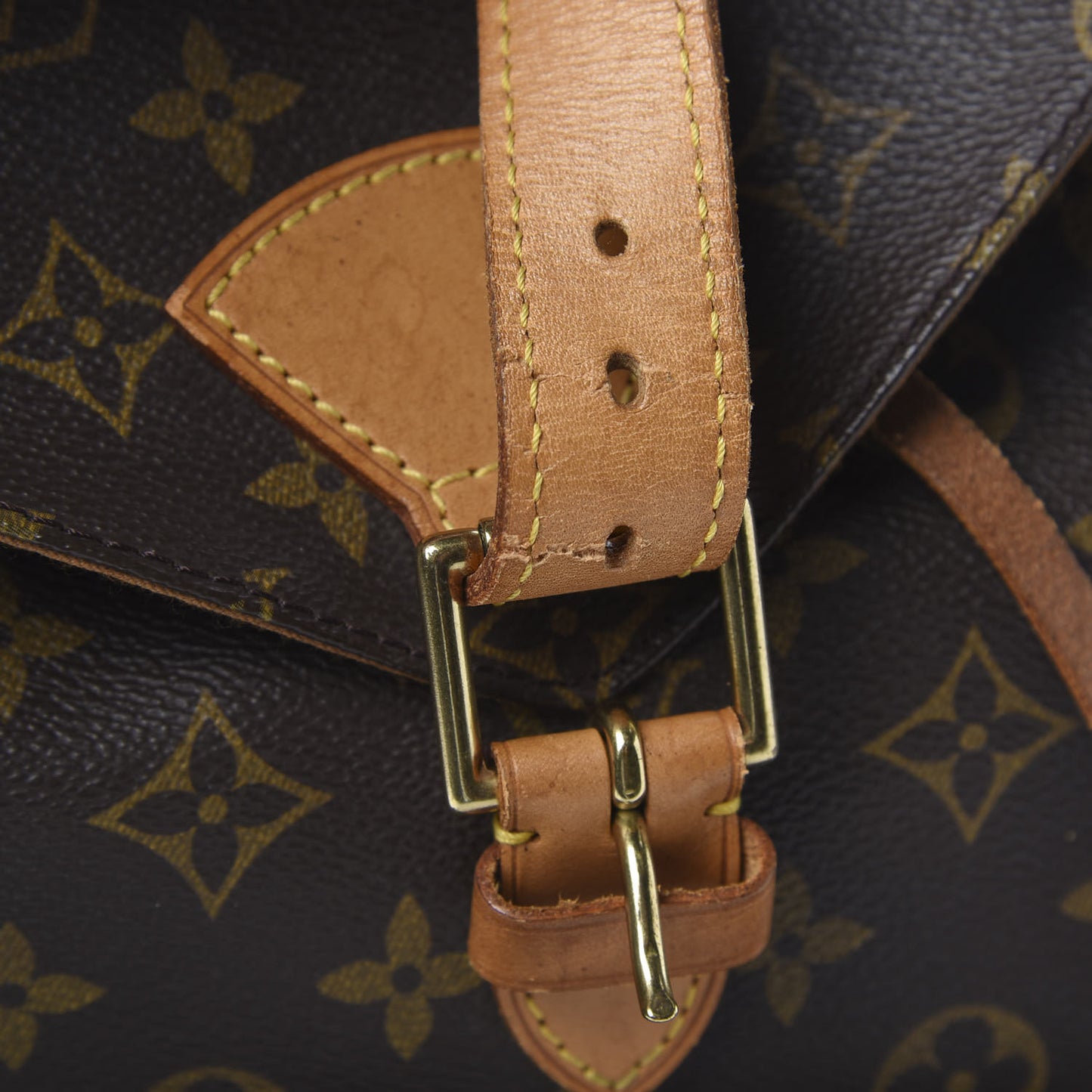 Monogram Montsouris GM Backpack