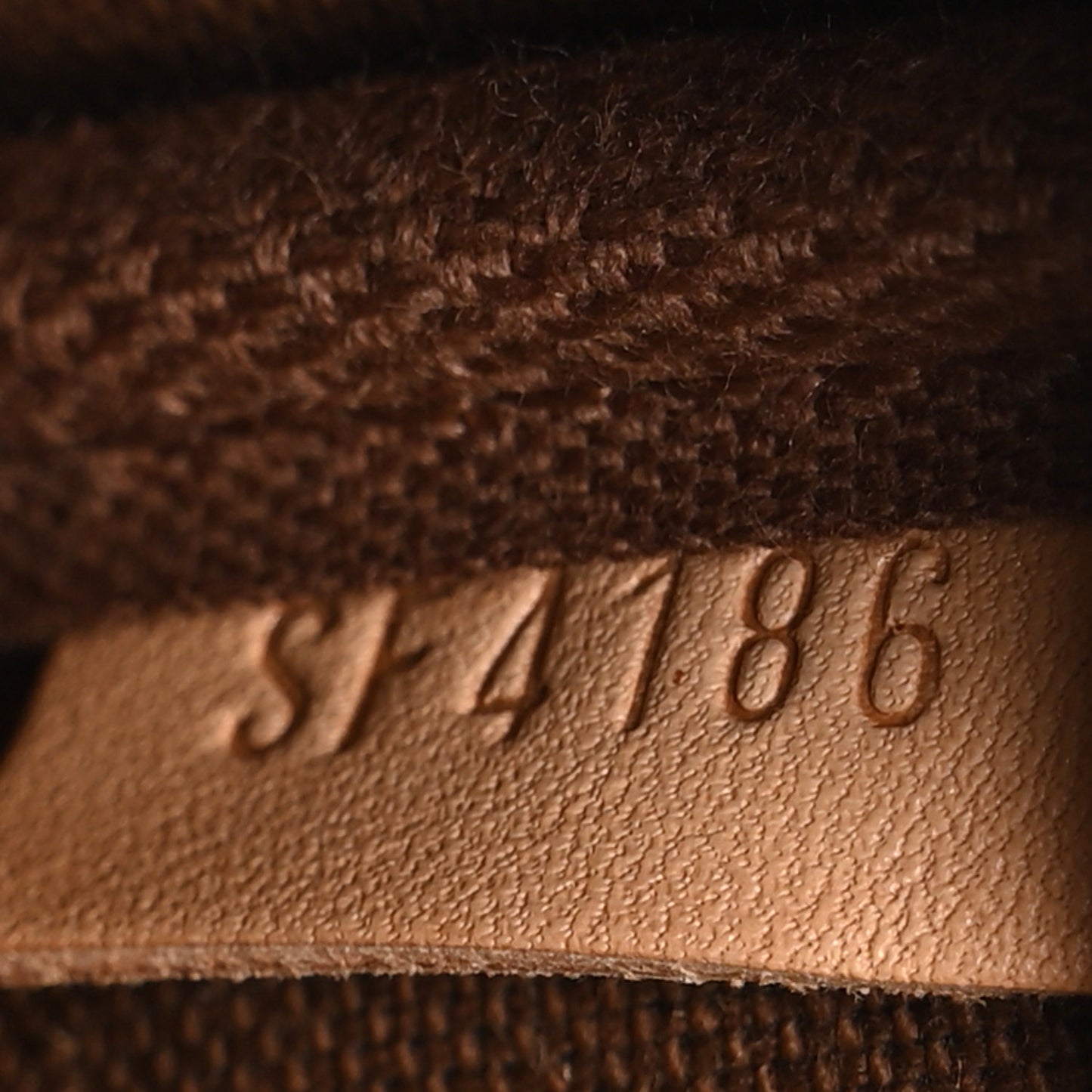Monogram Mini Pochette Accessories