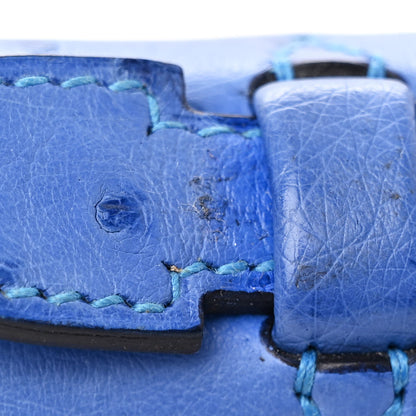 Hermes Ostrich Kelly Pochette Clutch Bleuet 13 of 14