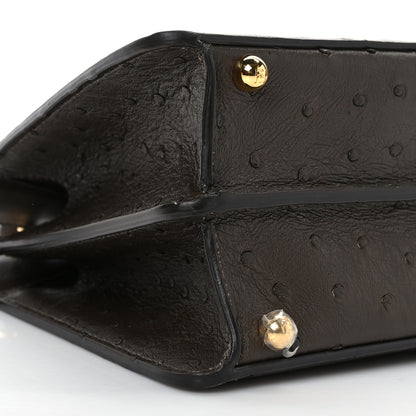 Fendi Ostrich Shiny Nappa Small Peekaboo I SEE U Satchel Dark Brown 6 of 7