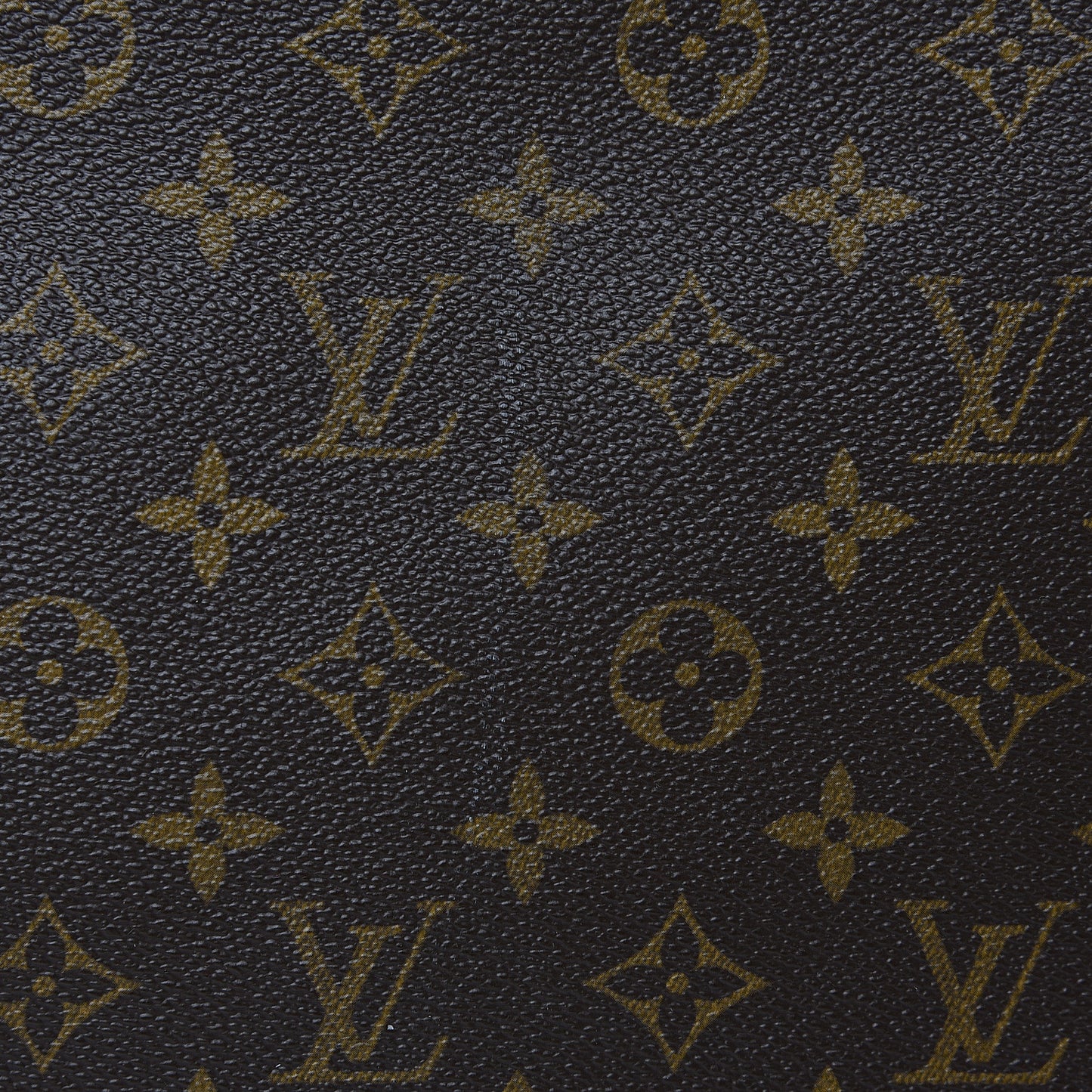 Monogram Garment Bag