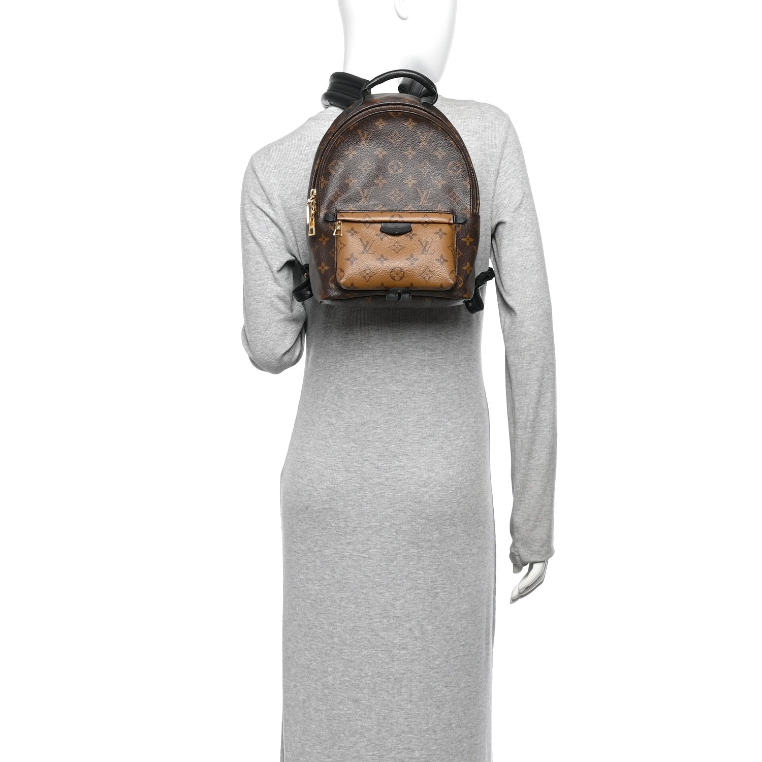 Louis Vuitton Reverse Monogram Palm Springs Backpack PM 2 of 10