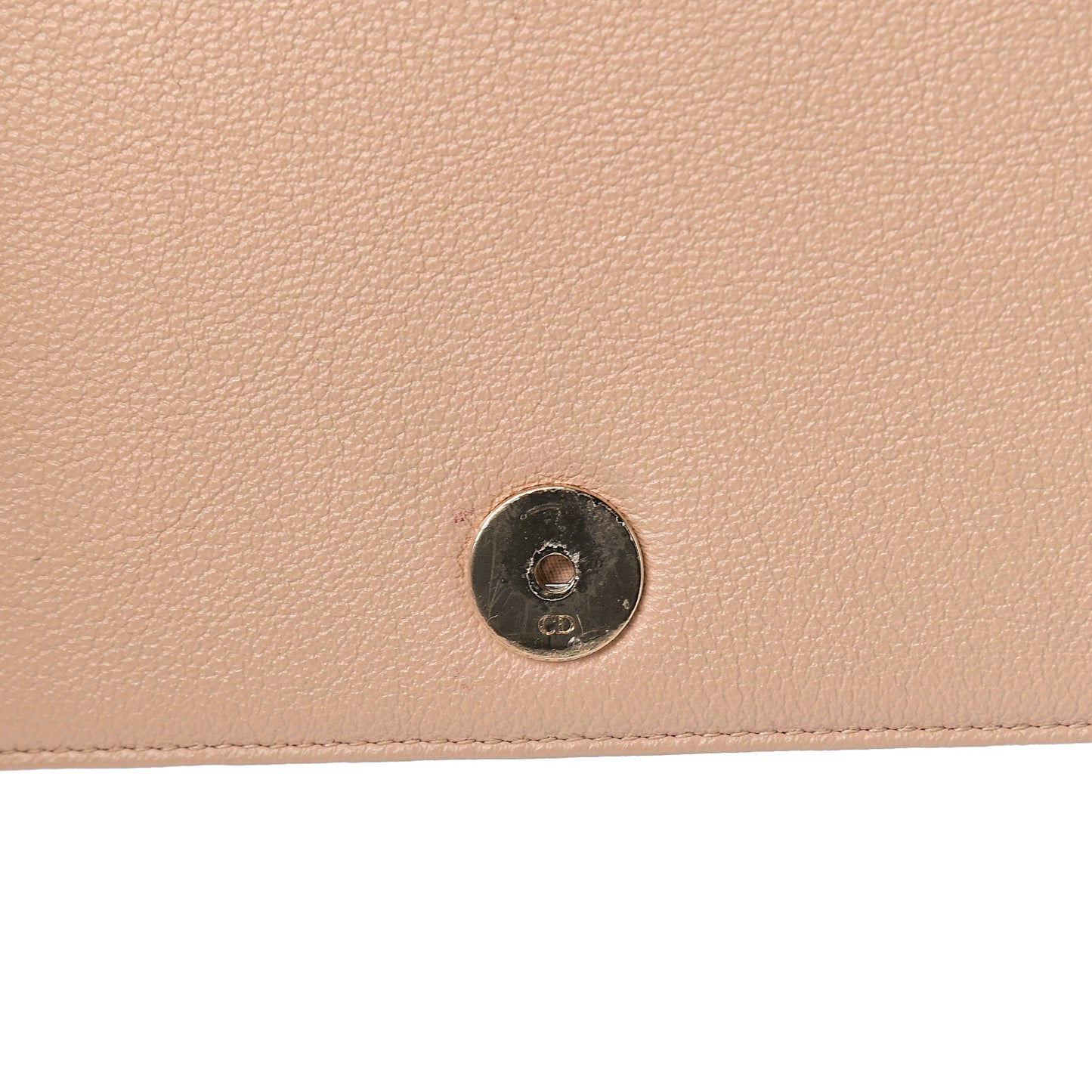 Grained Calfskin Diorama Wallet on Chain Pouch Nude
