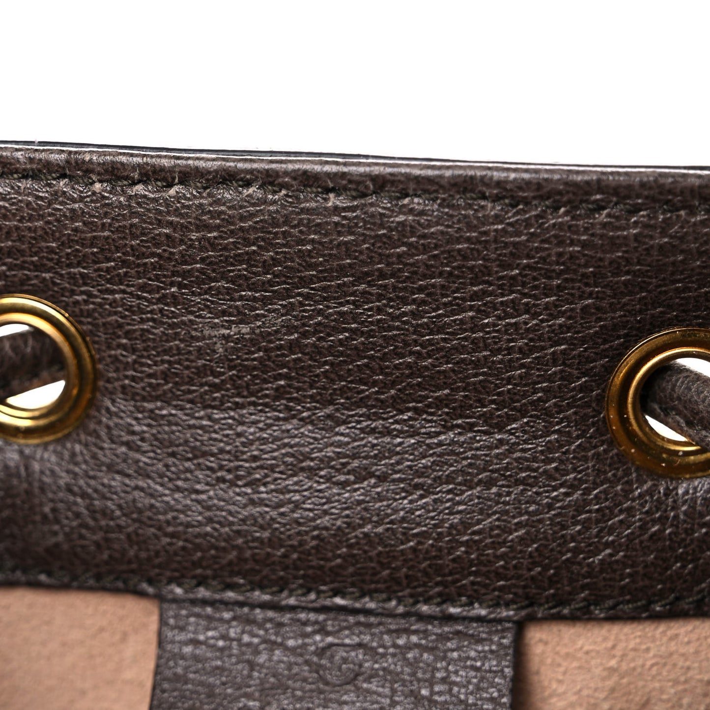 GG Supreme Monogram Web Mini Ophidia Bucket Bag Brown
