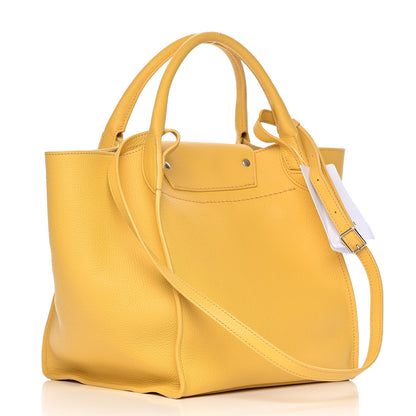 Celine Supple Grained Calfskin Small Long Strap Big Bag Sunflower 3 of 10