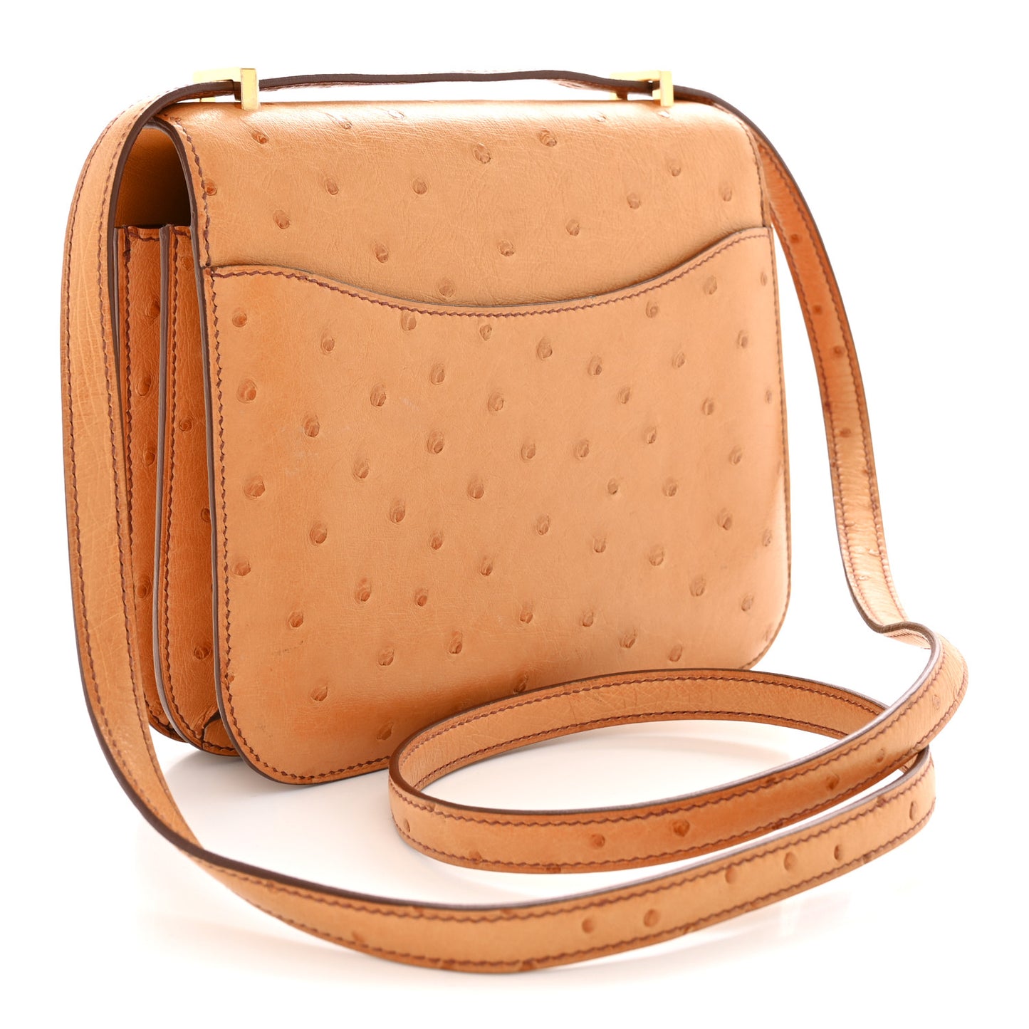 Ostrich Constance 18 Safran