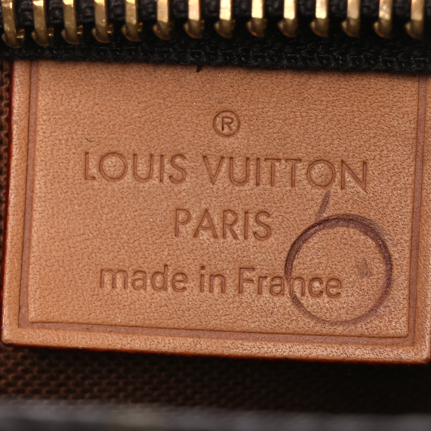 Monogram Nano Speedy Bandouliere