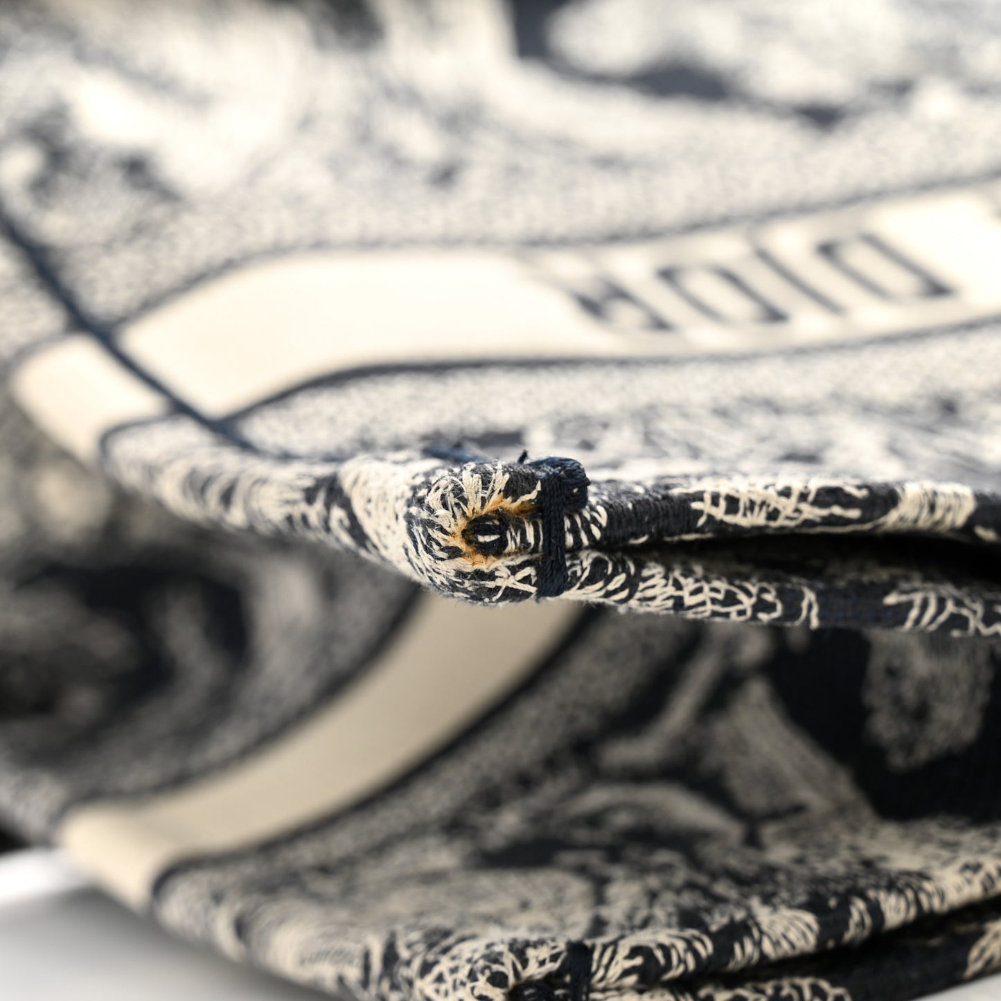 Canvas Embroidered Medium Dioriviera Toile De Jouy Reverse Book Tote Blue