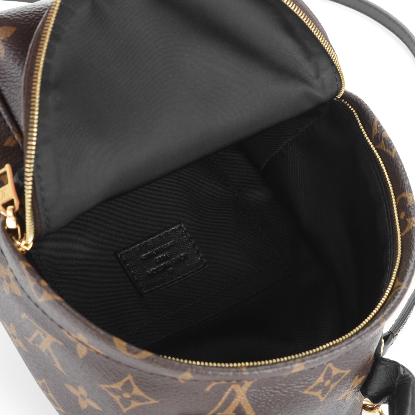 Monogram Palm Springs Backpack Mini
