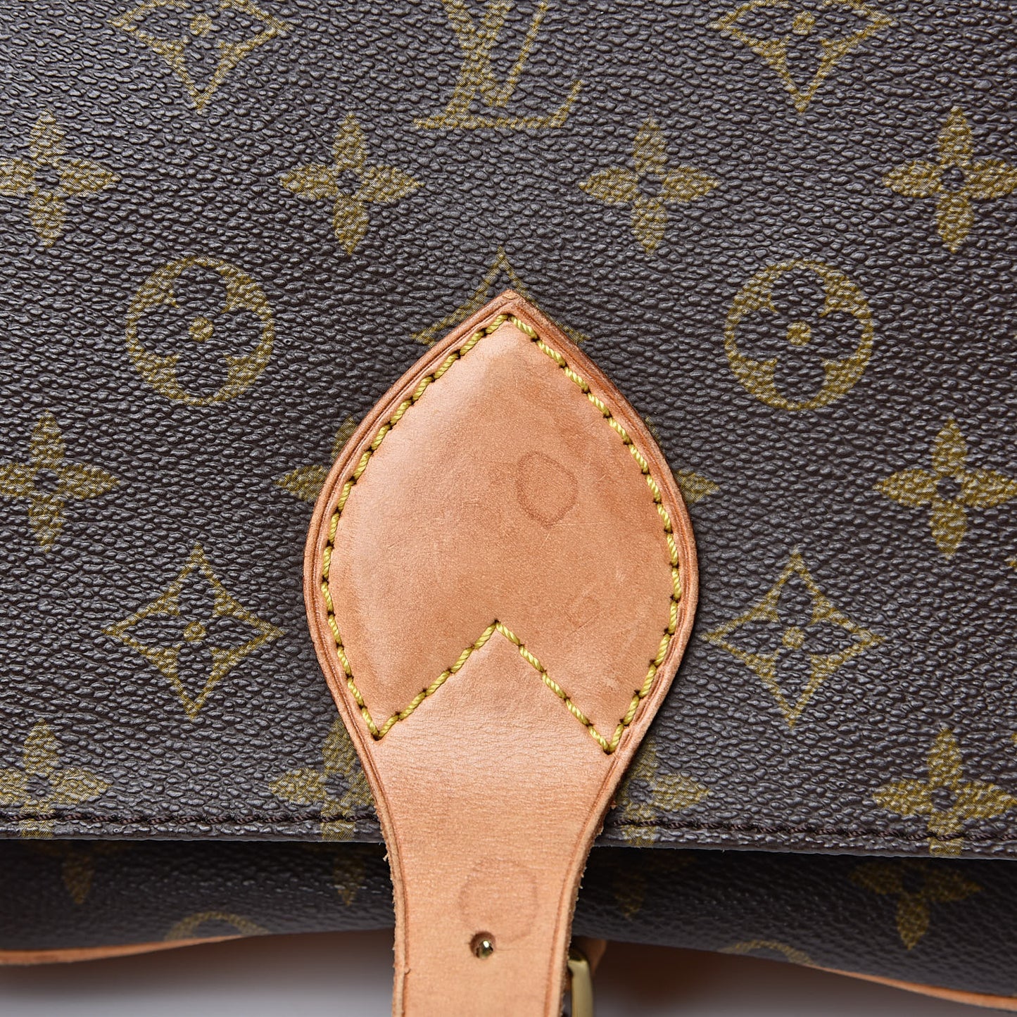 Monogram Cartouchiere 22