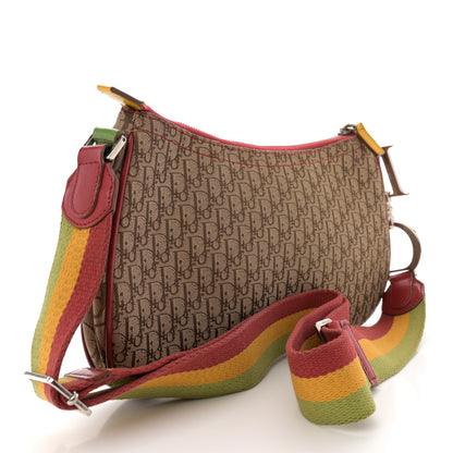 Christian Dior Monogram Rasta Double Saddle Beige 3 of 14