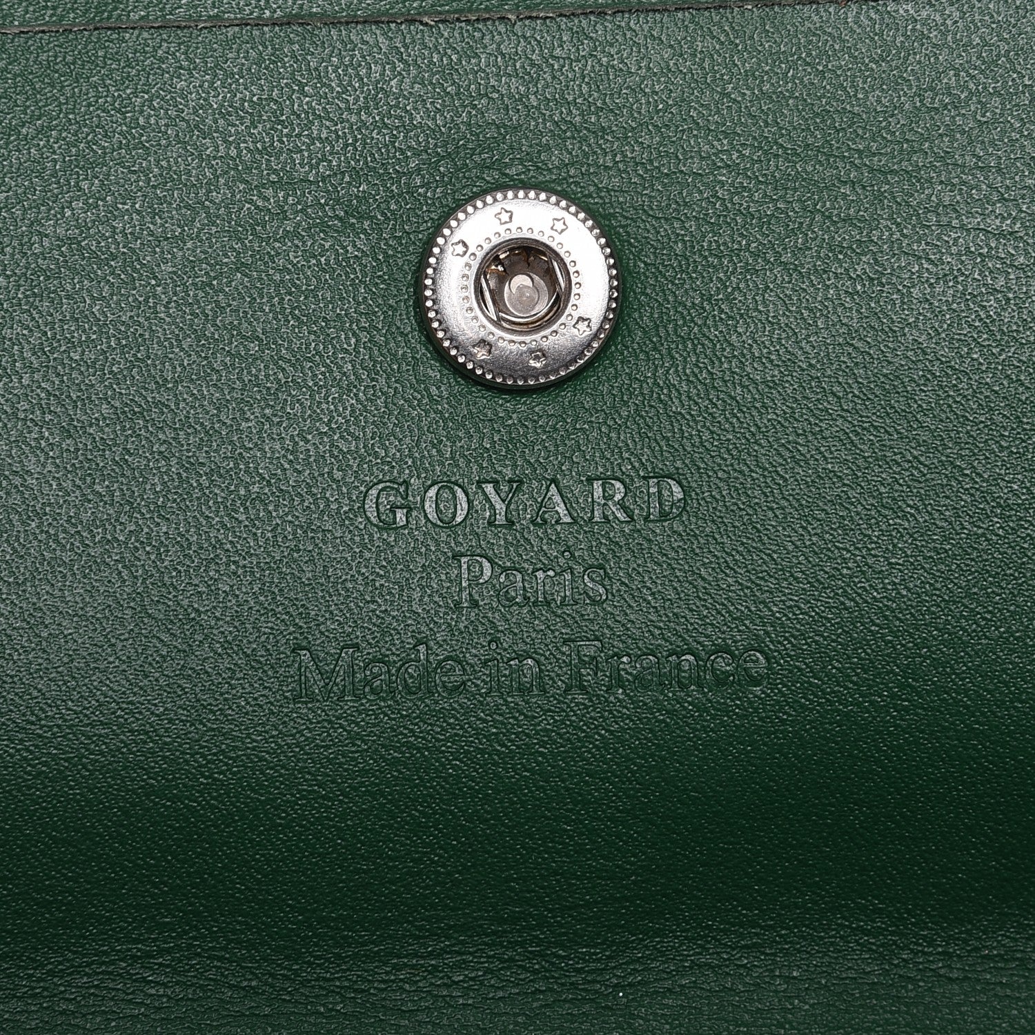 Goyard Goyardine Saint Louis PM Green 7 of 16