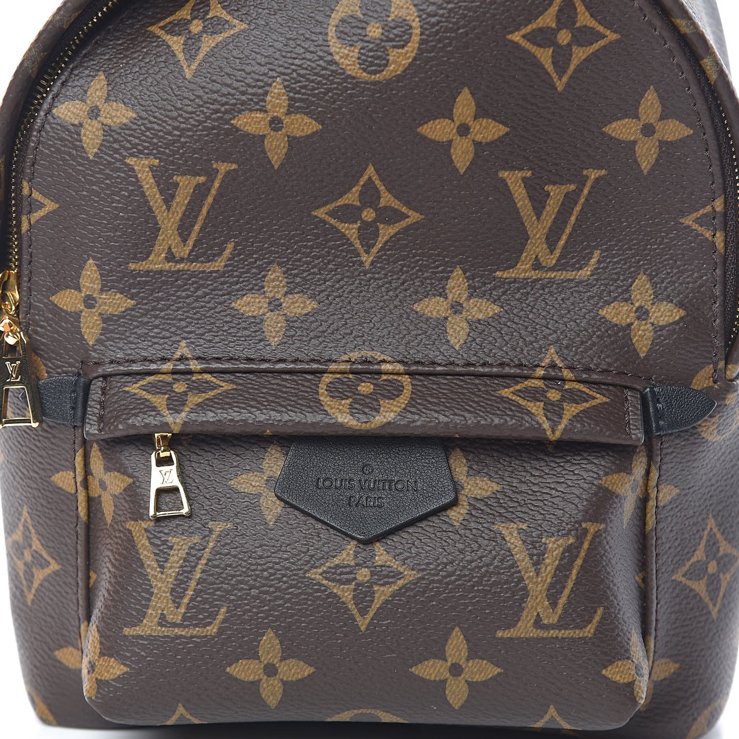Monogram Palm Springs Backpack Mini