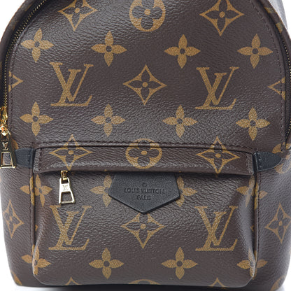 Louis Vuitton Monogram Palm Springs Backpack Mini 10 of 11