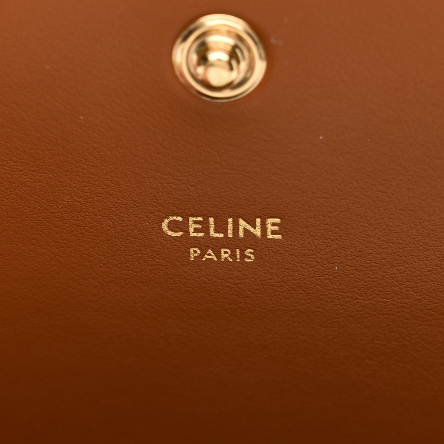 Triomphe Canvas Multipochette Tan