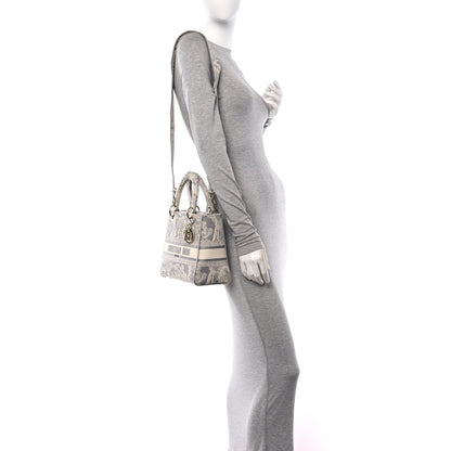 Christian Dior Canvas Toile De Jouy Reverse Embroidered Medium Lady D-Lite Gray 2 of 11