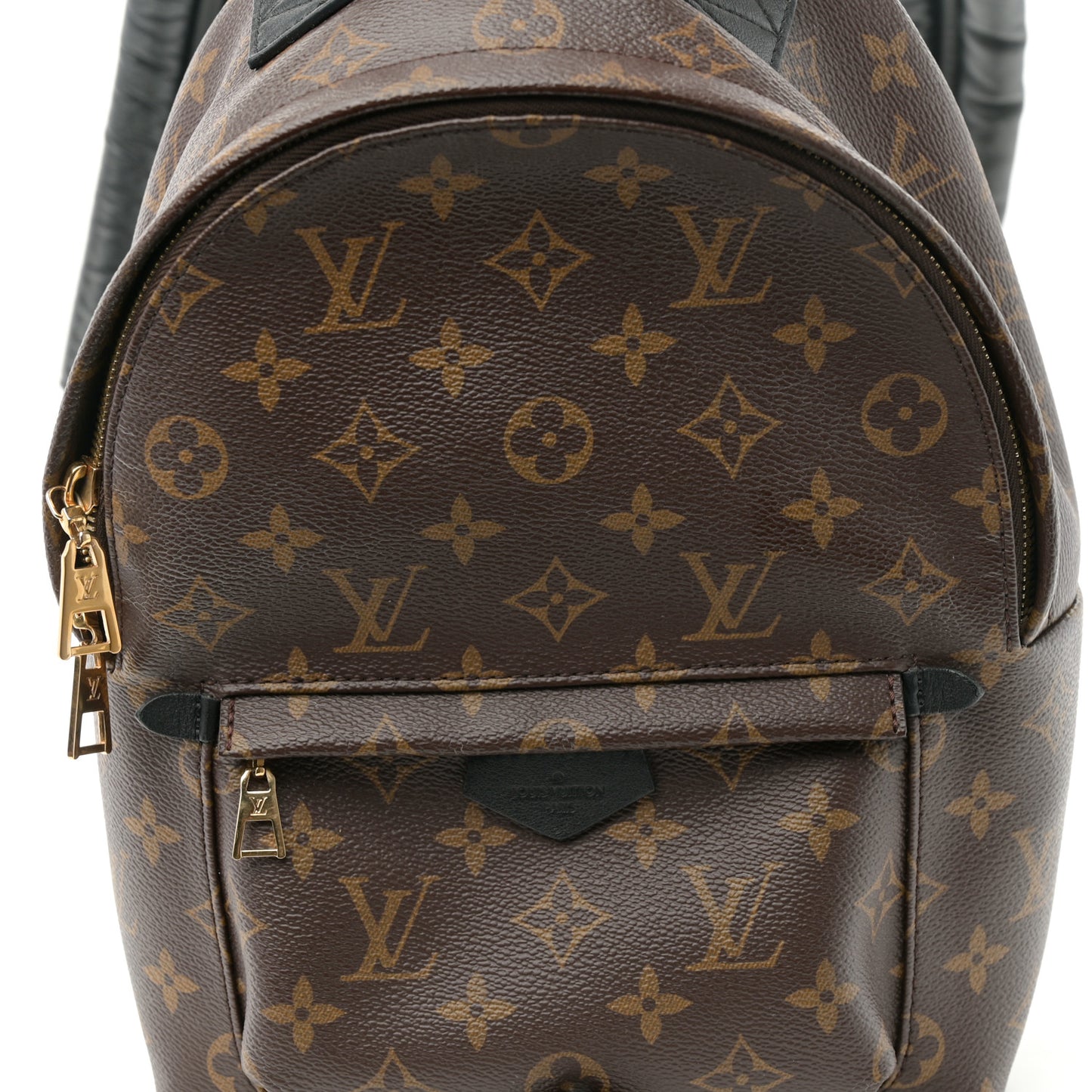 Monogram Palm Springs Backpack PM