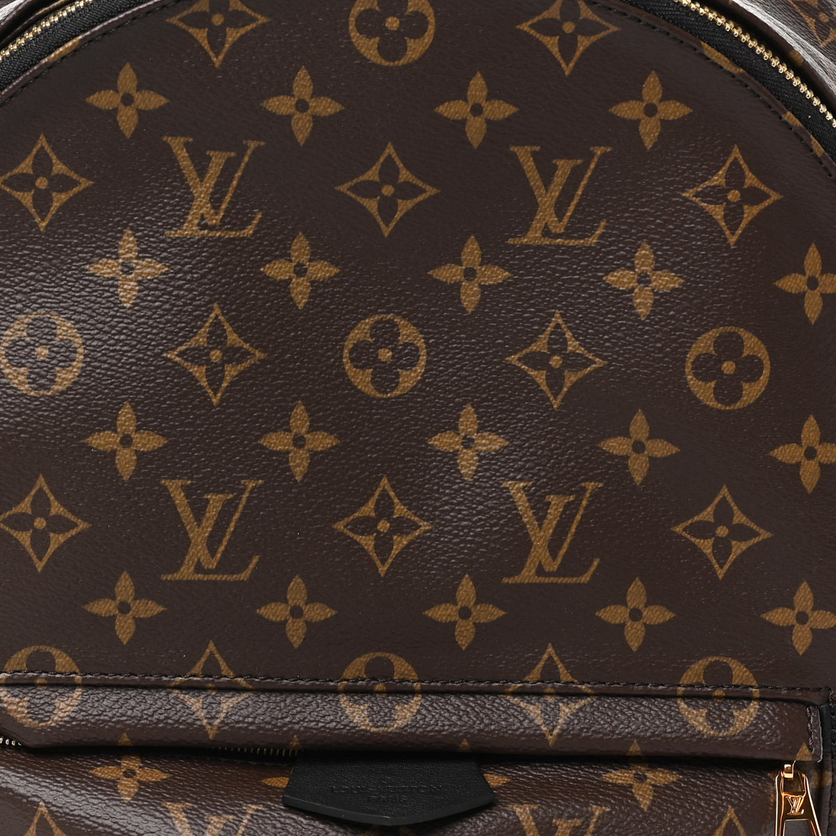 Monogram Palm Springs Backpack MM