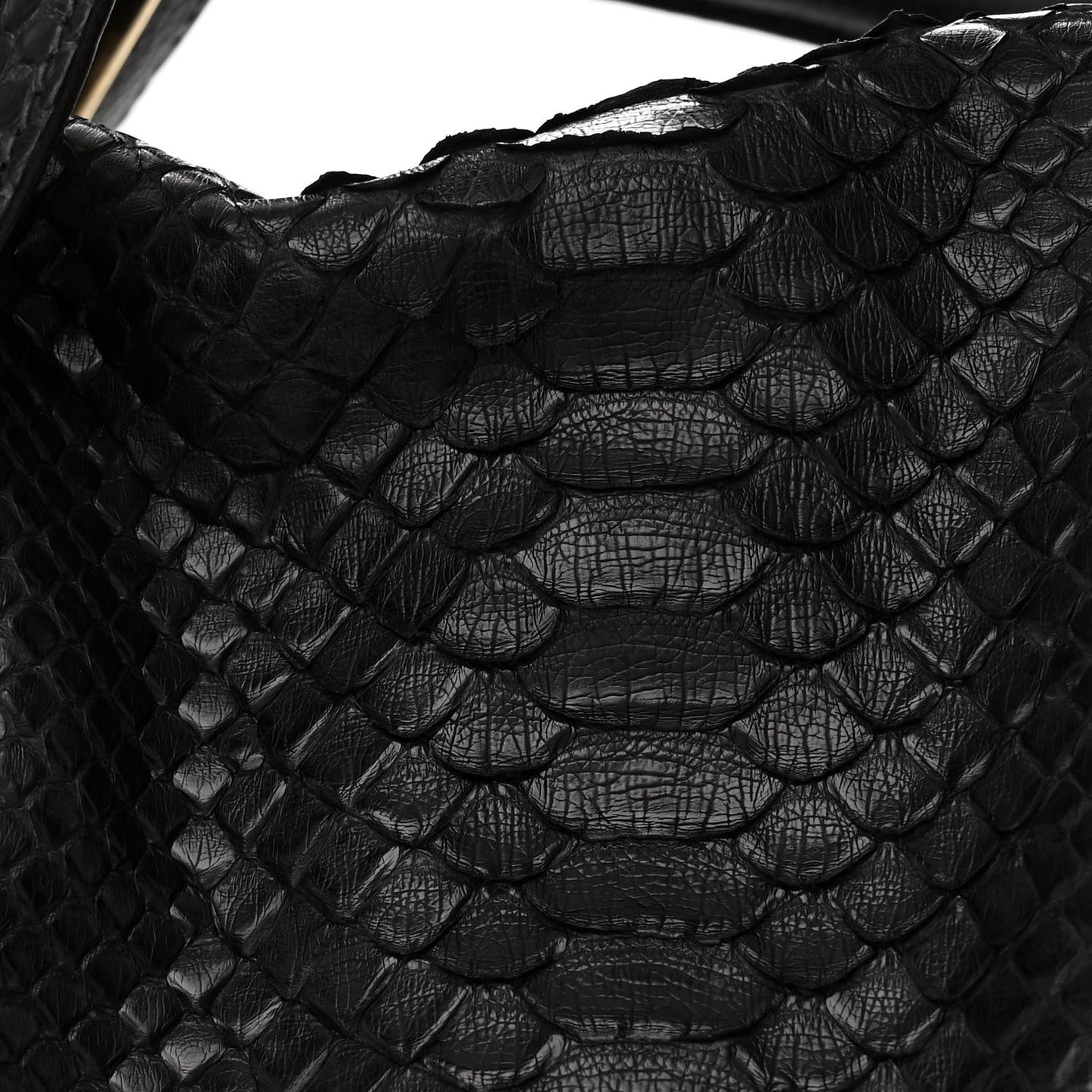 Snakeskin Large Paraty Black