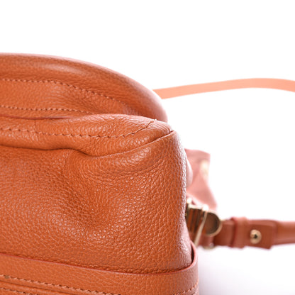 Chloe Calfskin Medium Paraty Indian Summer 10 of 17