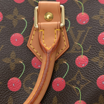 Louis Vuitton Monogram Cerises Speedy 25 11 of 11