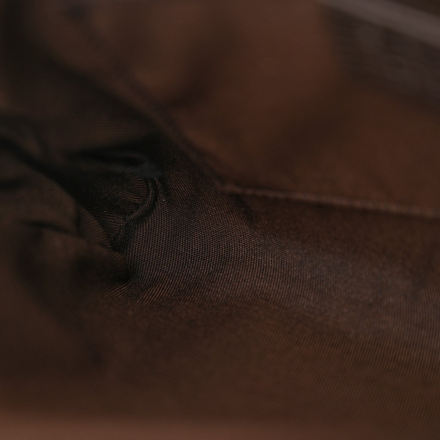 Monogram Dollar Calfskin Belt Bag Beige Ebony Testa di Moro Marrone Scuro