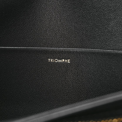 Celine Shiny Calfskin Medium Triomphe Black 6 of 11