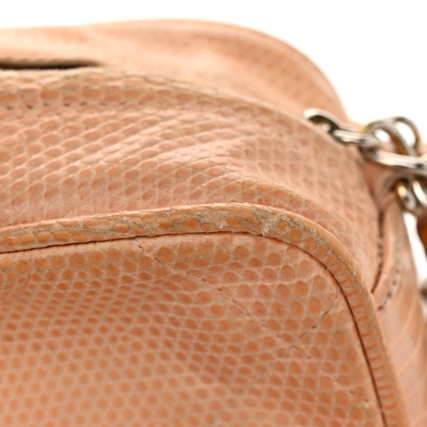 Chanel Lizard Quilted Tassel Camera Case Light Beige 10 of 11