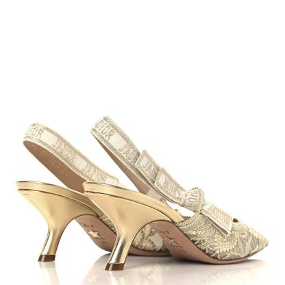 Christian Dior Transparent Metallic Embroidered Mesh Macrame Constantine Embroidered J'Adior Slingback 65mm Pumps 37.5 Pale Gold 5 of 10
