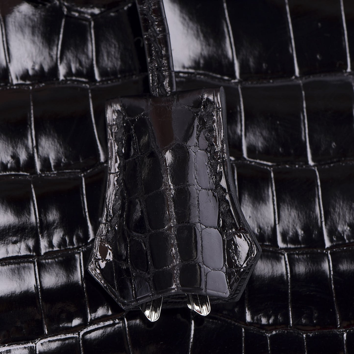 Shiny Niloticus Crocodile Birkin 25 Black