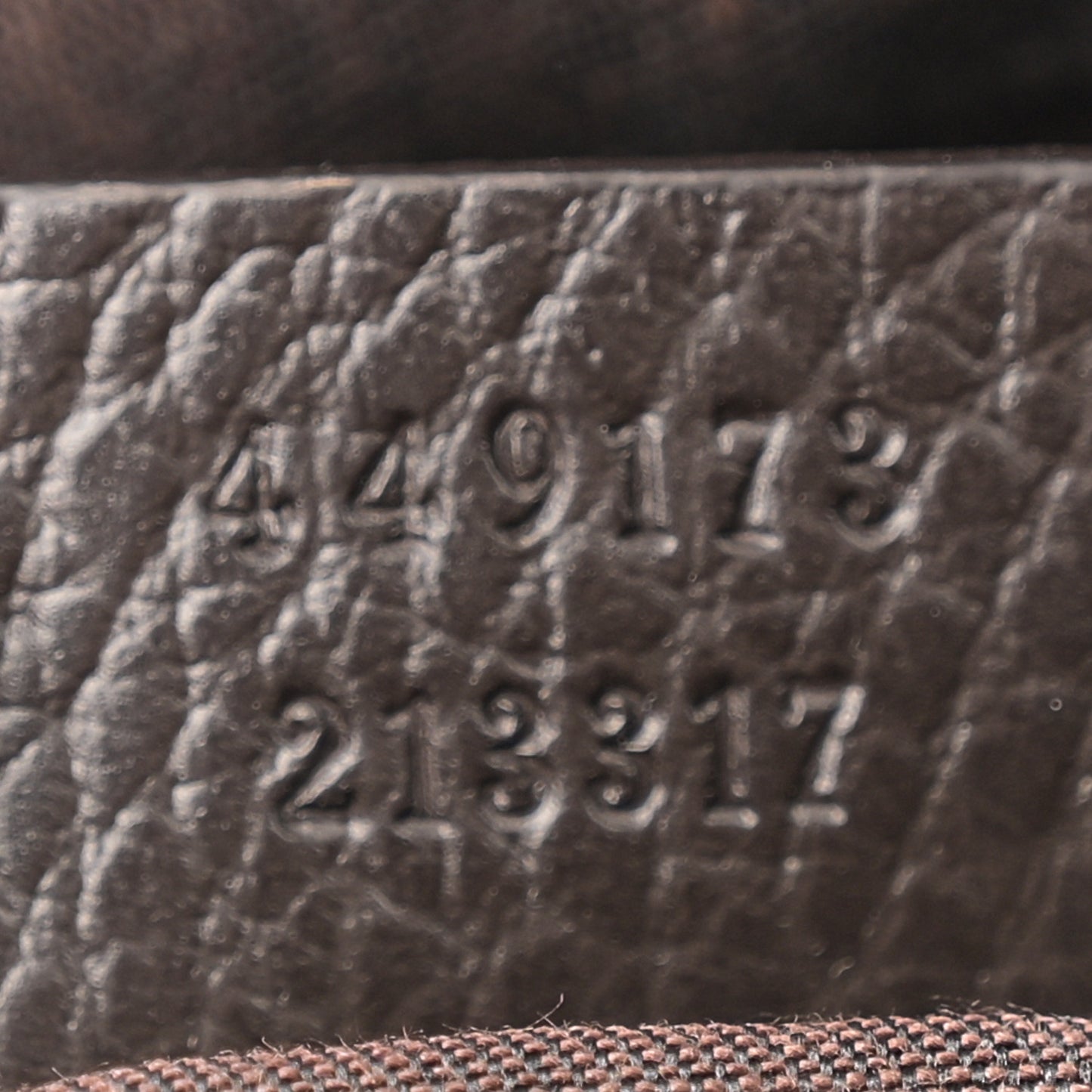 Monogram Dollar Calfskin Large Camera Case Beige Ebony Testa di Moro Marrone Scuro