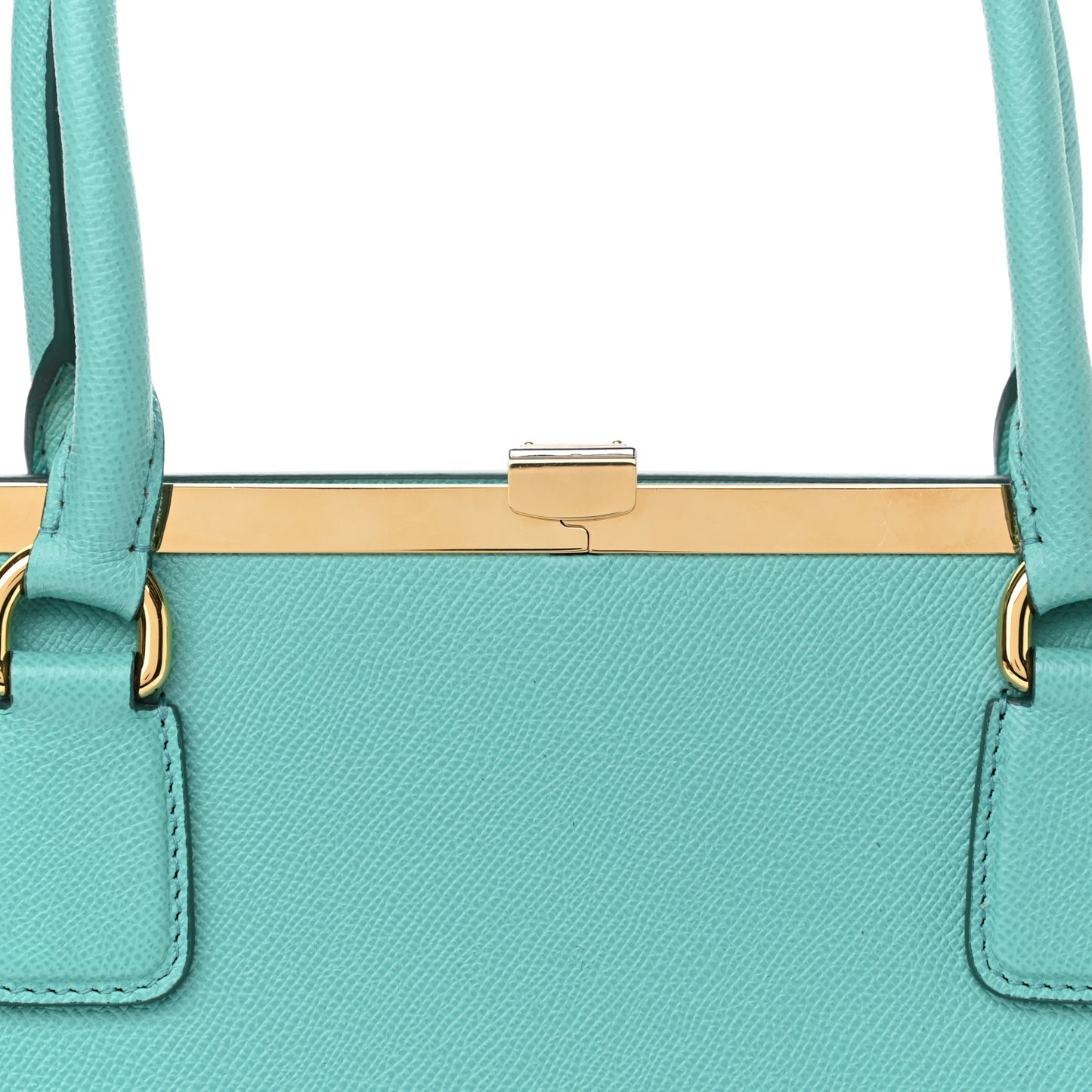 Dauphine Medium Frame Tote