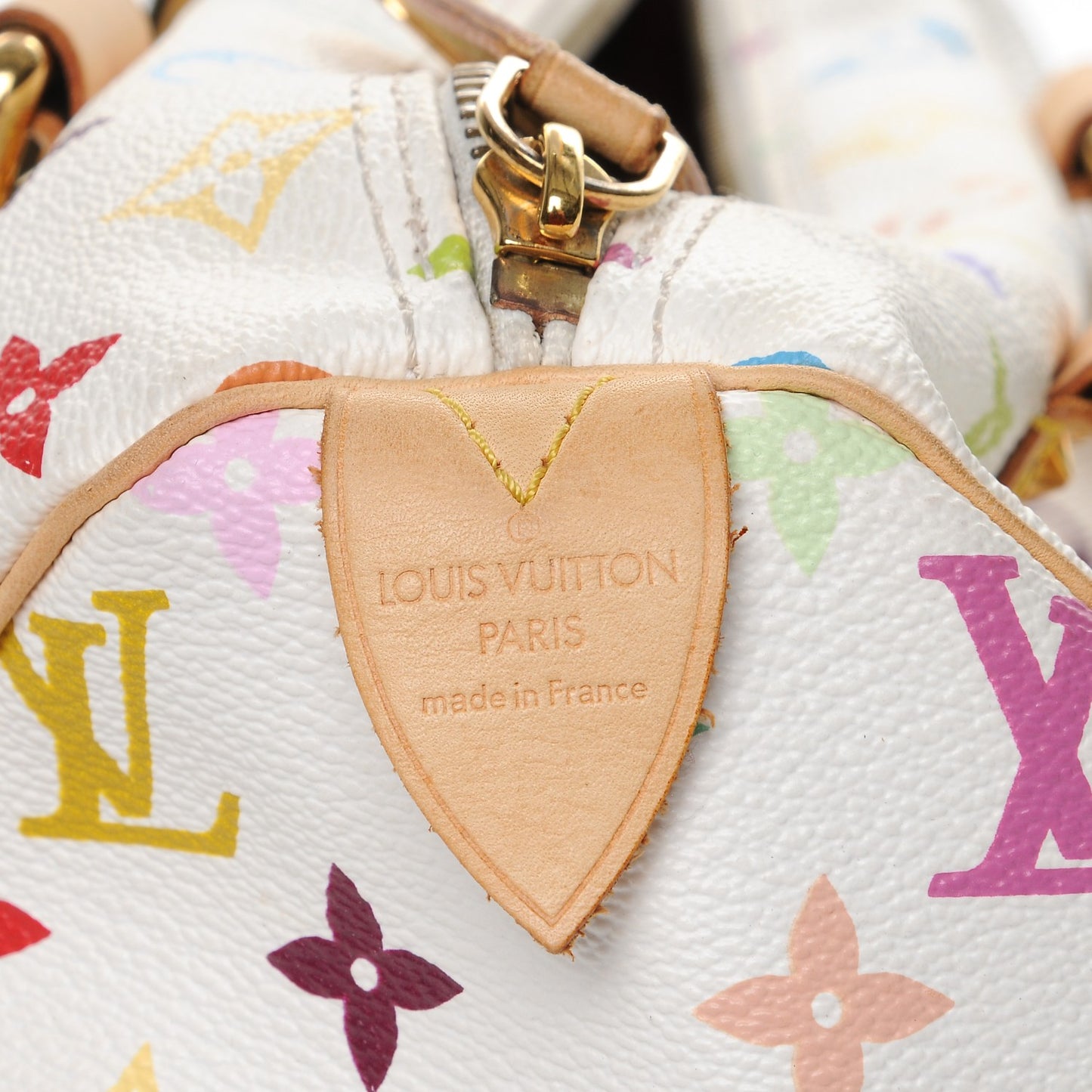 Monogram Multicolor Speedy 30 White