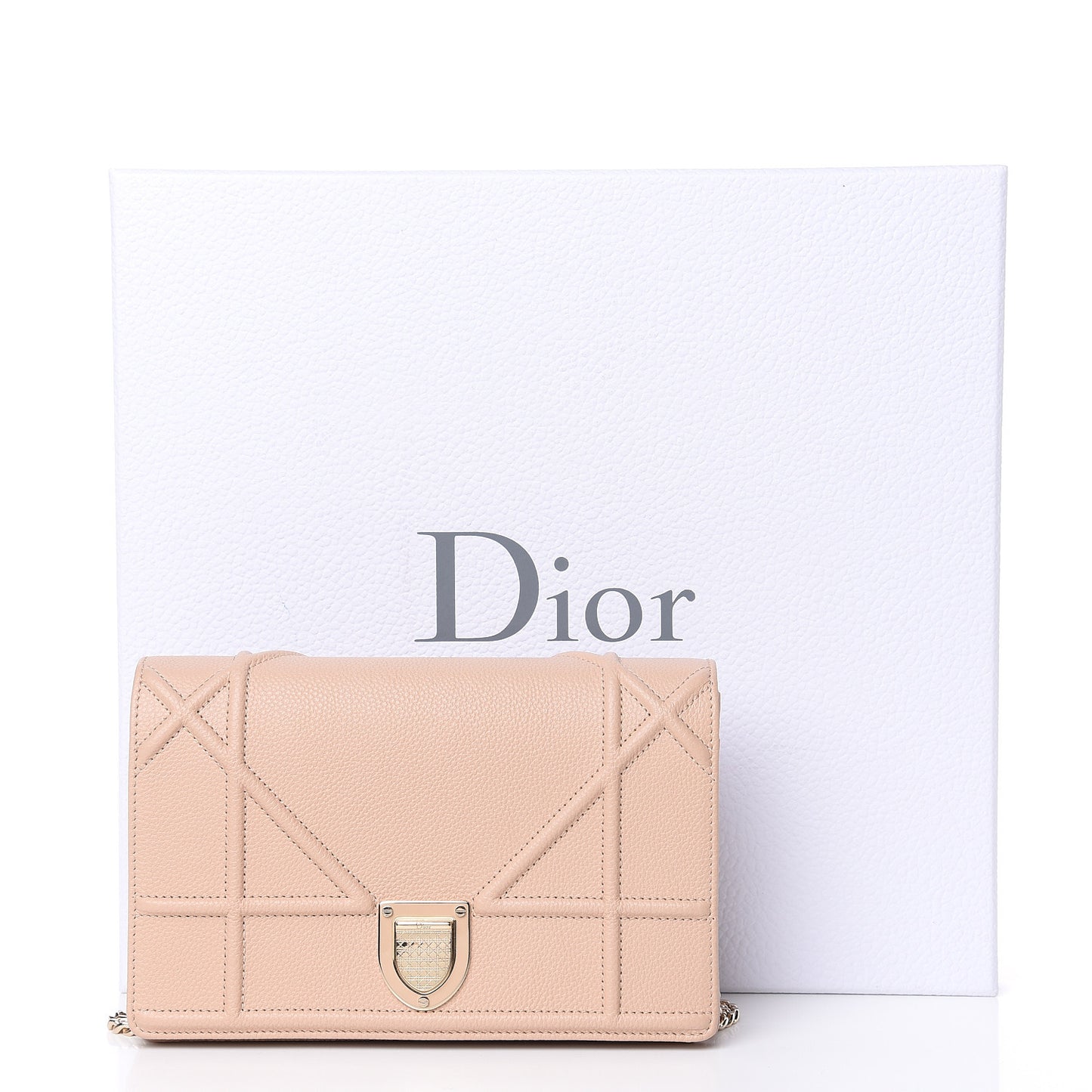 Grained Calfskin Diorama Wallet on Chain Pouch Nude