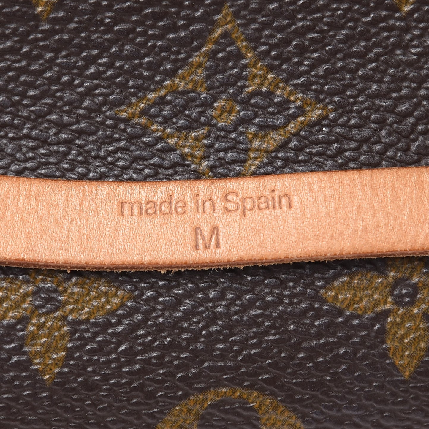 Monogram Pochette Florentine M